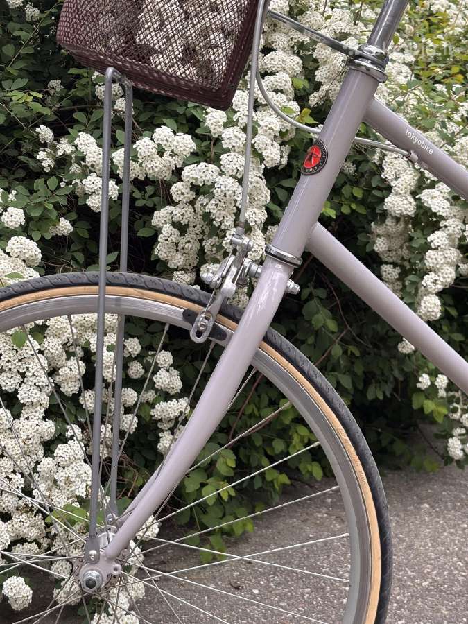Tokyobike miesto dviratis - nuotraukos Nr. 3