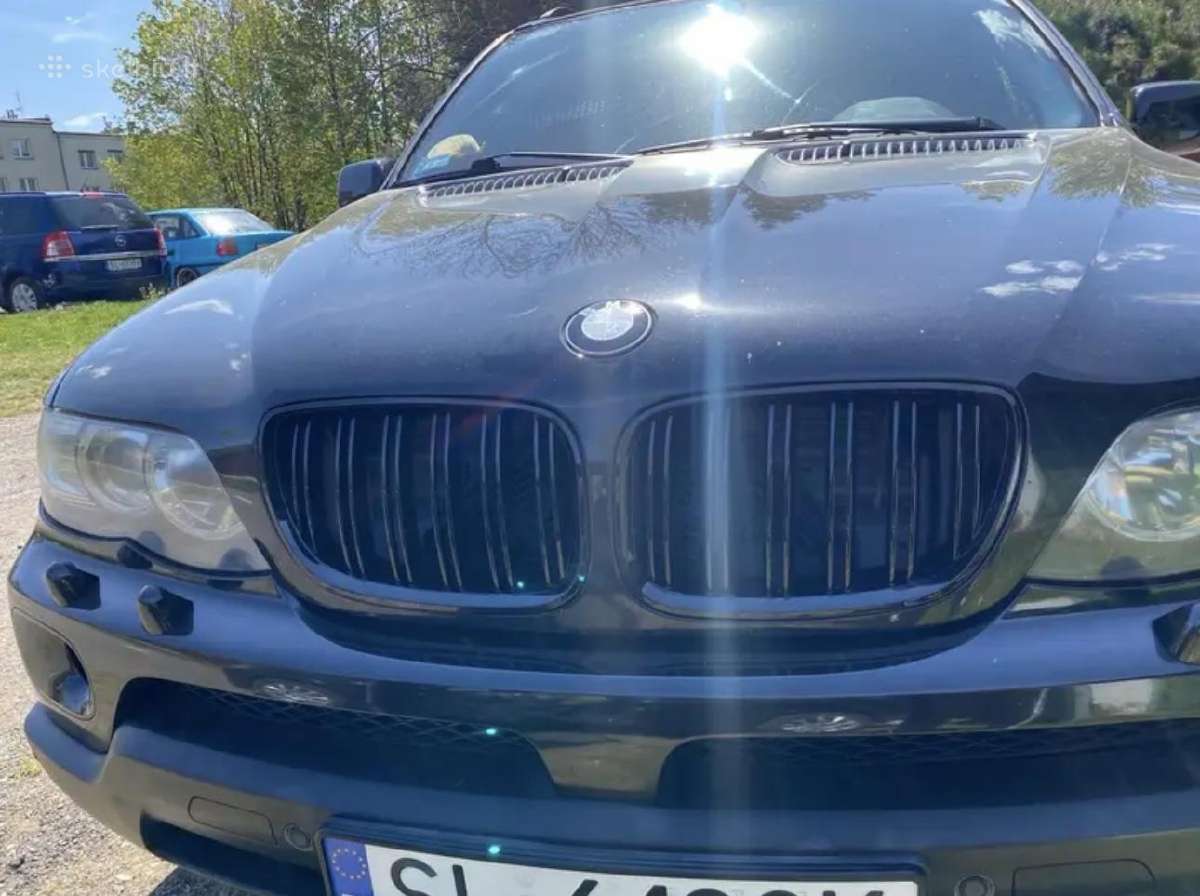 Moto Ir Automobilių Dažymas - nuotraukos Nr. 6