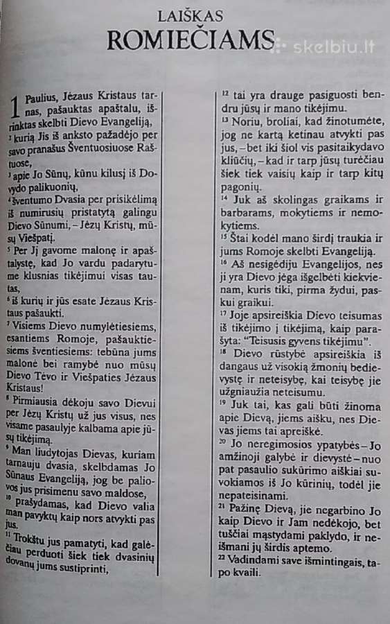Pavargau nuo filosofijos, laukiu tiesos. - nuotraukos Nr. 4