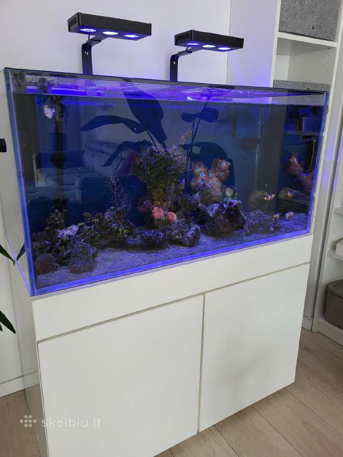 Jūrinis akvariumas 250litrų