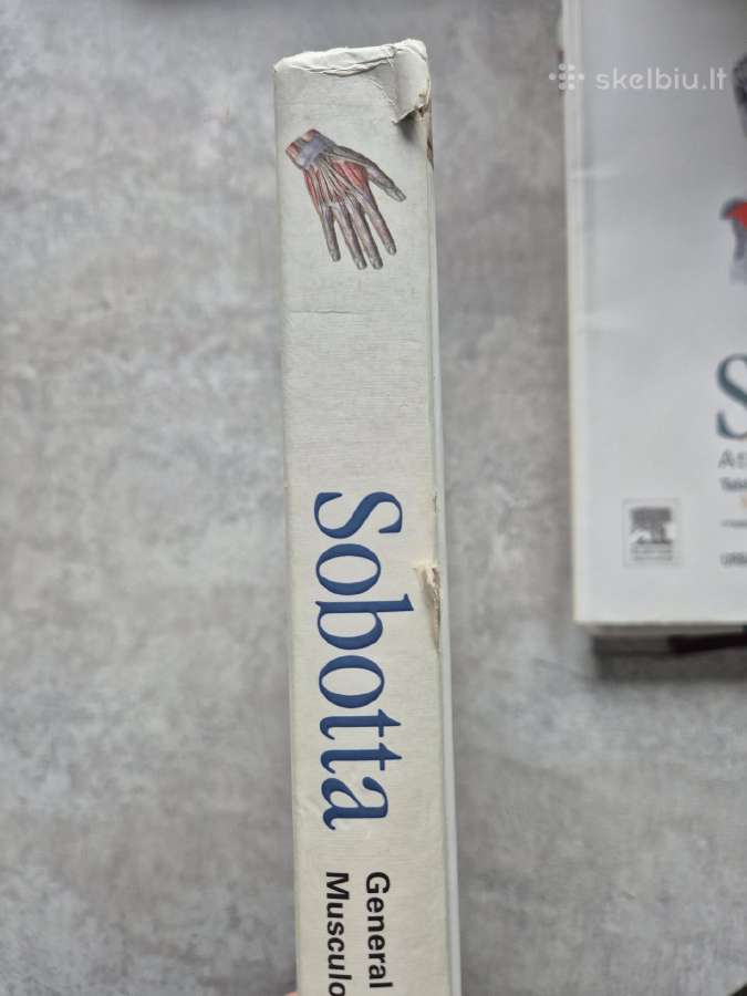 Sobotta Atlas of Human Anatomy, 15th edition. Piln - nuotraukos Nr. 7