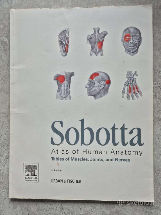 Sobotta Atlas of Human Anatomy, 15th edition. Piln - nuotraukos Nr. 6