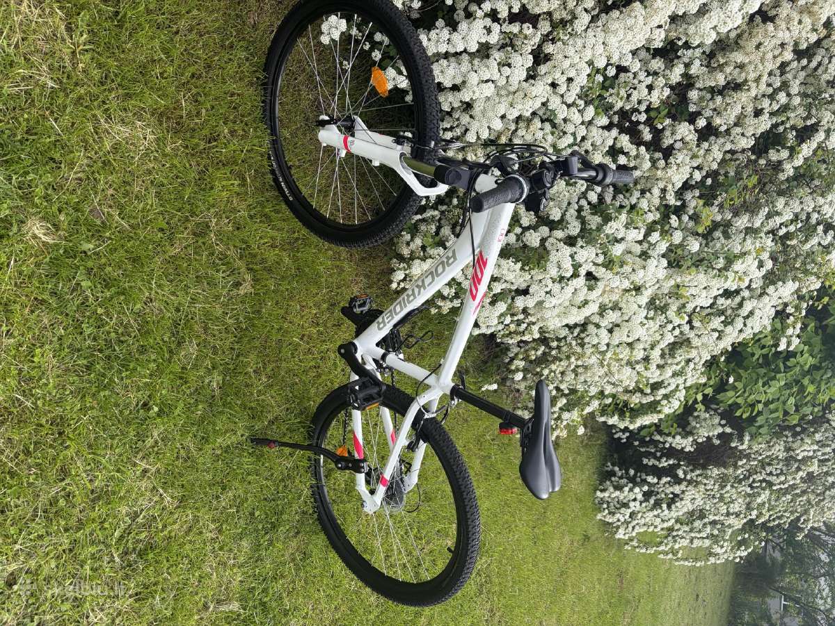 Dviratis Rockrider