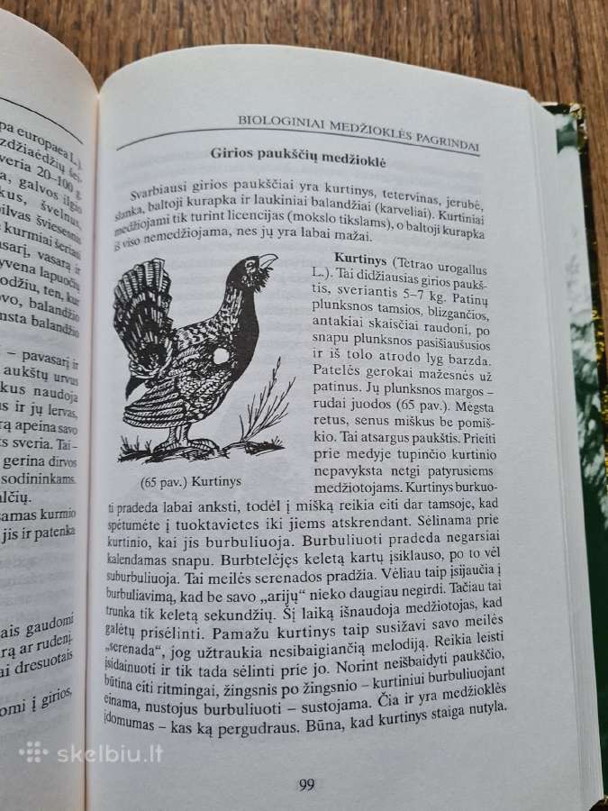 Medžiotojo patarėjas (Sigitas Valaitis) - nuotraukos Nr. 7