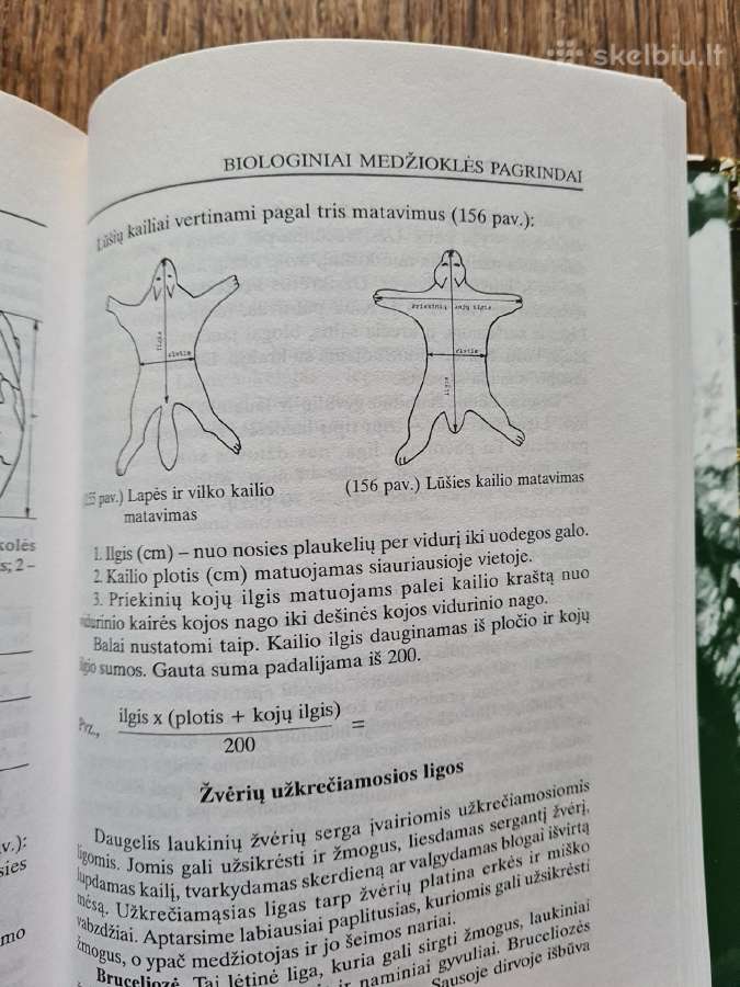 Medžiotojo patarėjas (Sigitas Valaitis) - nuotraukos Nr. 12
