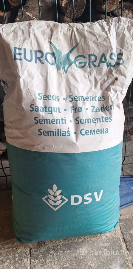 Vejos sėklos