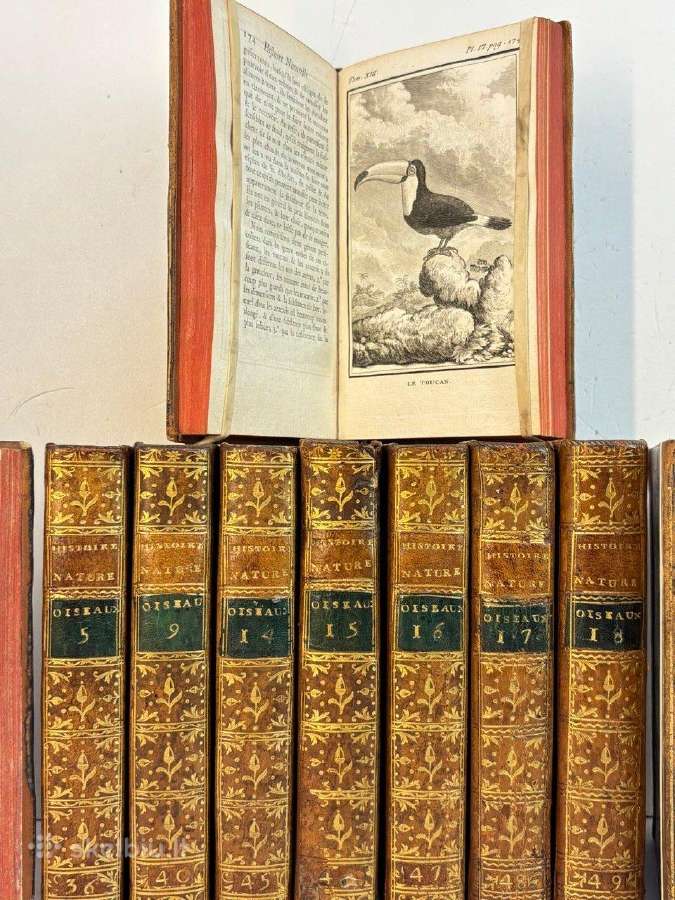 B. de Seve "Paukščių istorija" (1770-1785)