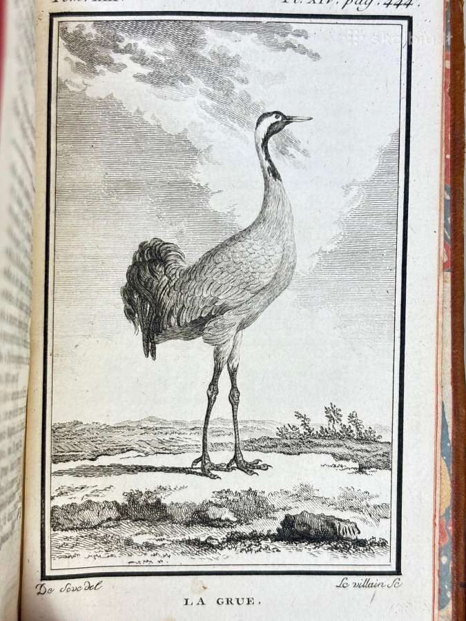B. de Seve "Paukščių istorija" (1770-1785) - nuotraukos Nr. 2
