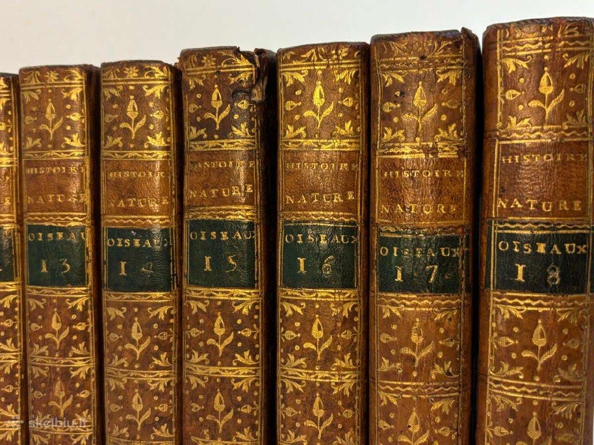 B. de Seve "Paukščių istorija" (1770-1785) - nuotraukos Nr. 6