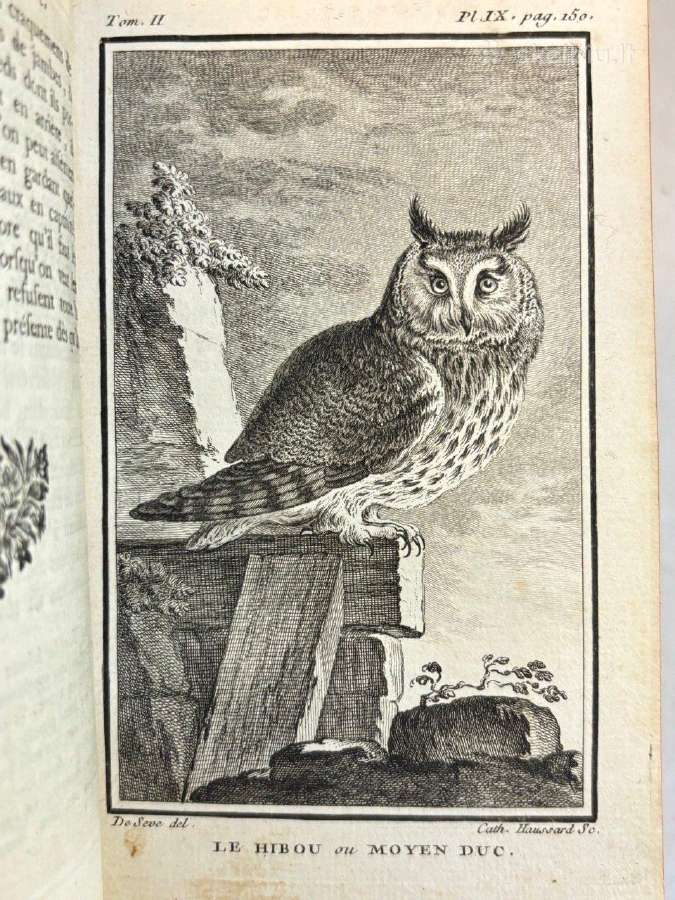 B. de Seve "Paukščių istorija" (1770-1785) - nuotraukos Nr. 7
