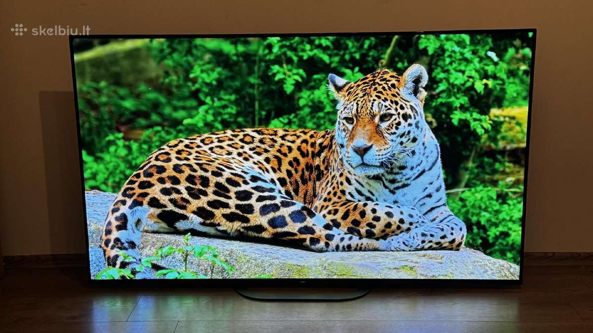 Sony Kd-55ag8 Oled 4k 120hz Youtube Netflix Go3 - nuotraukos Nr. 4
