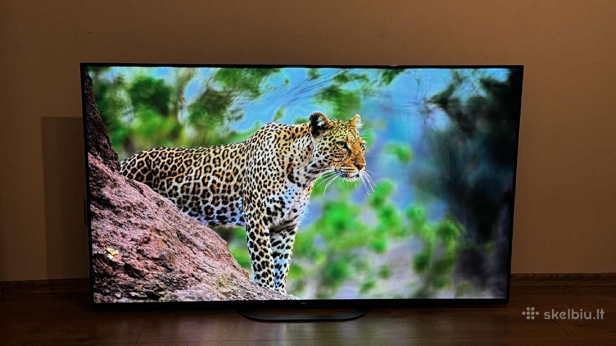 Sony Kd-55ag8 Oled 4k 120hz Youtube Netflix Go3 - nuotraukos Nr. 5