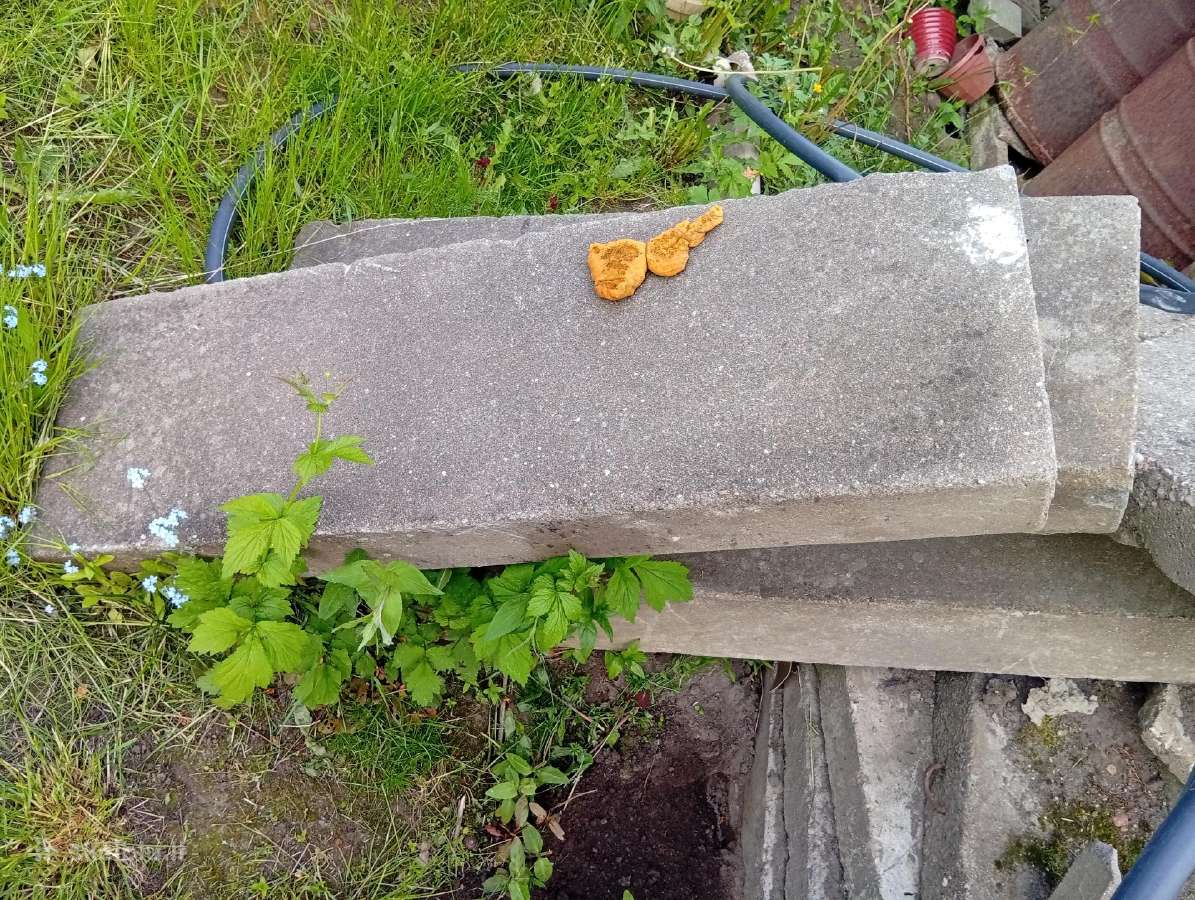 Betonines plyteles Saligatvio plytos trinkeles - nuotraukos Nr. 3