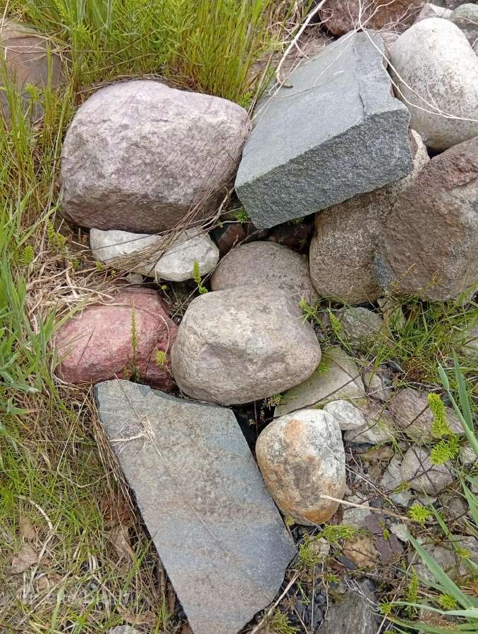 Šaligatvio plytelės - nuotraukos Nr. 8