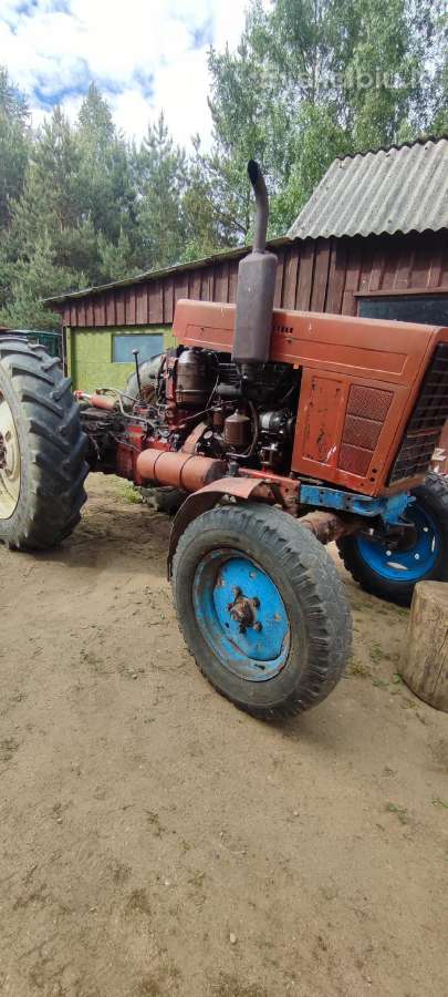 Mtz 80 dalimis