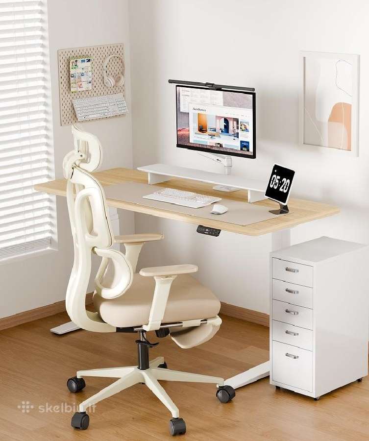 Nauja Flexispot ergonominė kėdė