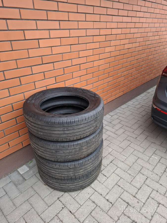 Vasarinės Continental Ecocontact 6