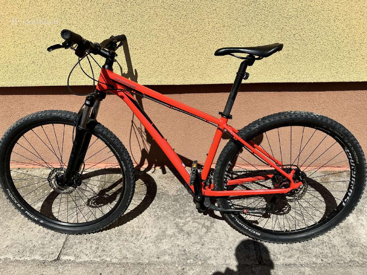 Cannondale Dviratis