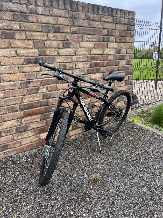 Nakamura Hardtail