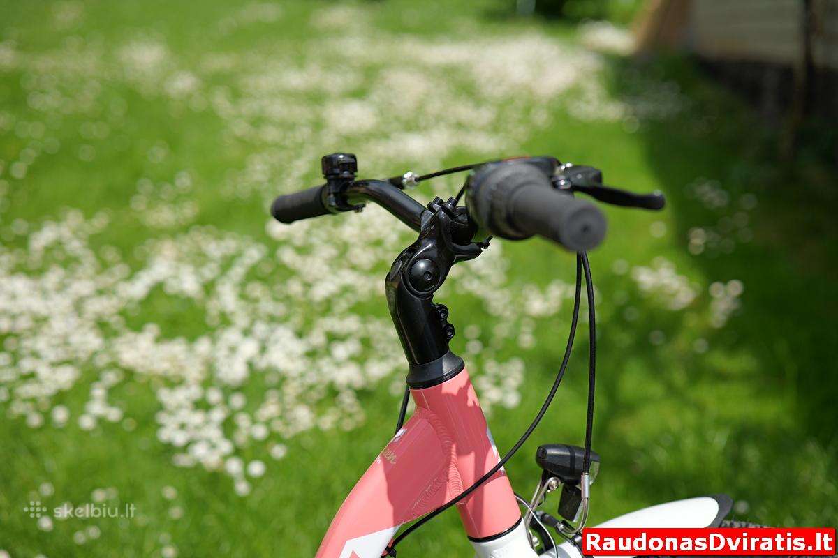 Naujas 26 Tabou Shimano Nexus 3 - nuotraukos Nr. 5