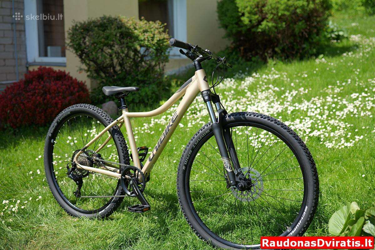 Naujas 29 Unibike Move šampaninis S - nuotraukos Nr. 2