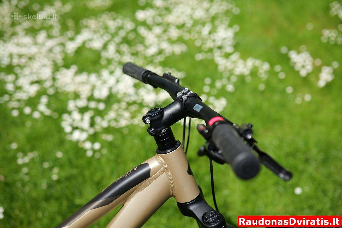 Naujas 29 Unibike Move šampaninis S - nuotraukos Nr. 6