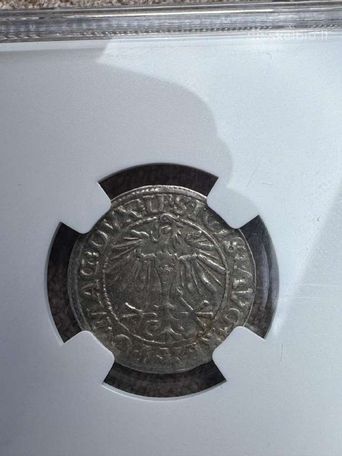 Ngc Lietuvos Didžiosios Kunigaikštystės pusgrašiai - nuotraukos Nr. 3