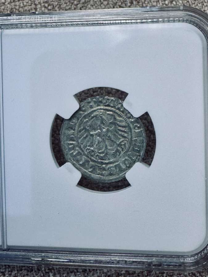 Ngc Lietuvos Didžiosios Kunigaikštystės pusgrašiai - nuotraukos Nr. 6