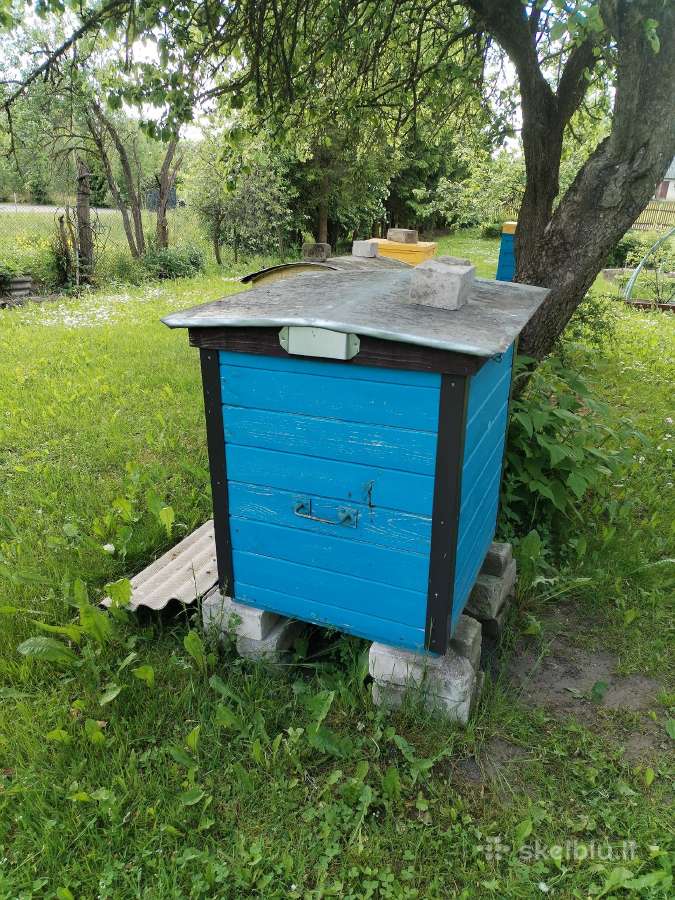 Parduodu bites su aviliais