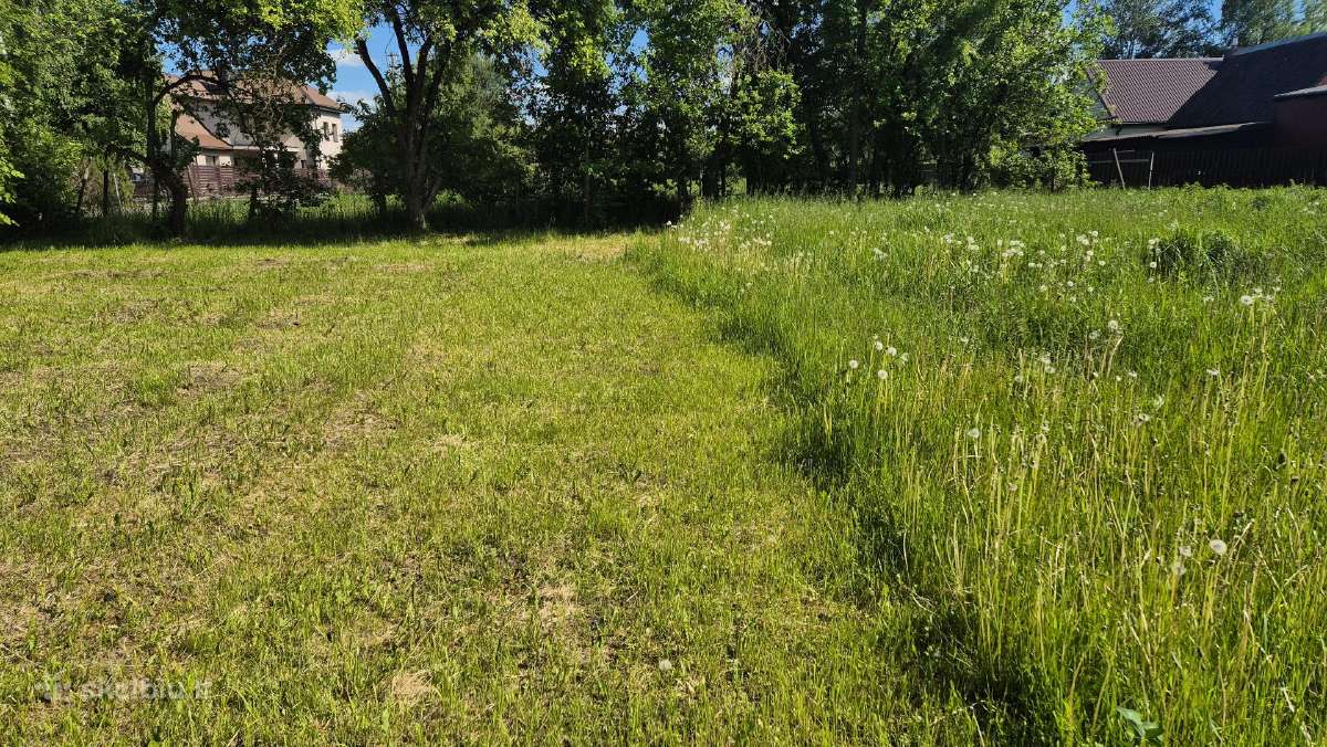 Žolės pjovimas ir kt. Kaune ir 50 km aplinkui