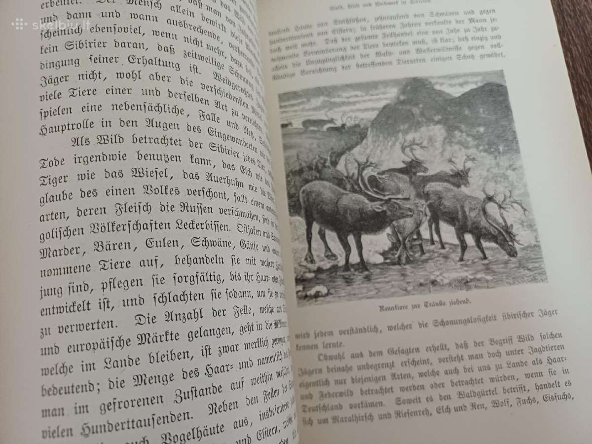 Parduodu knyga,1890m - nuotraukos Nr. 12