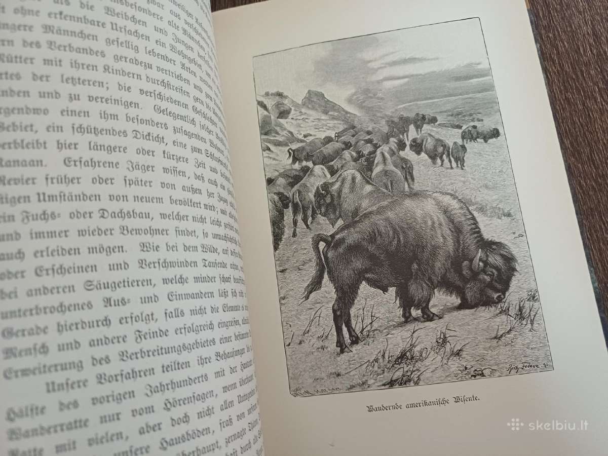 Parduodu knyga,1890m - nuotraukos Nr. 18