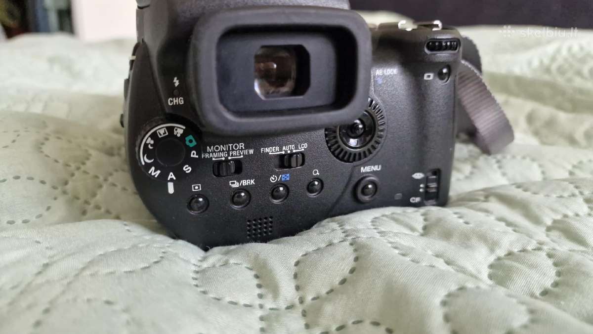 Sony R1 Aps-c 24-120mm f2,8-48 - nuotraukos Nr. 5