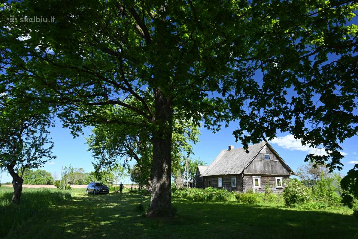 Parduodama sodyba Raseinių rajone