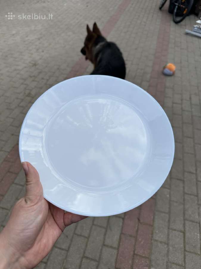 Naudotos baltos lėkštės 25cm - nuotraukos Nr. 3