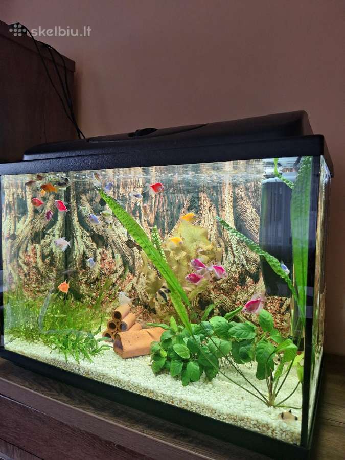 Parduodu akvariumą 75ltr.galiu ir be žuvyčių.
