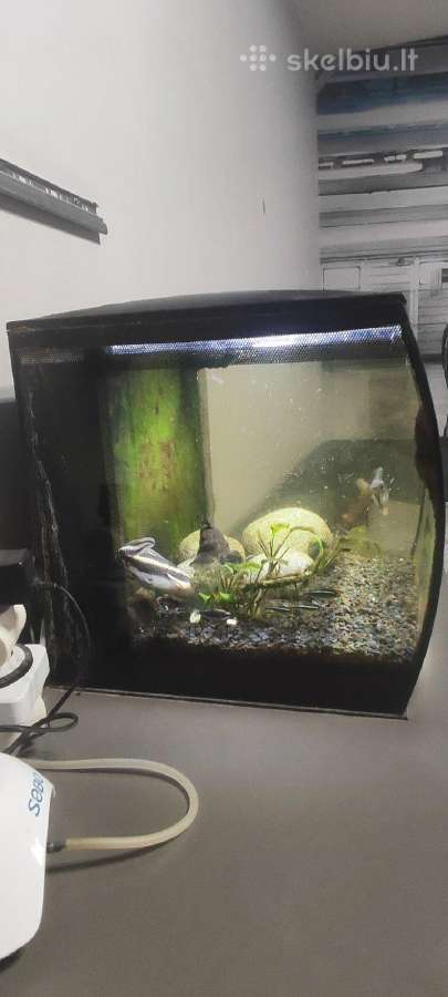 Juwel akvariumas 120 l - nuotraukos Nr. 3