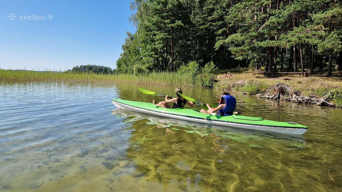 Baidarė