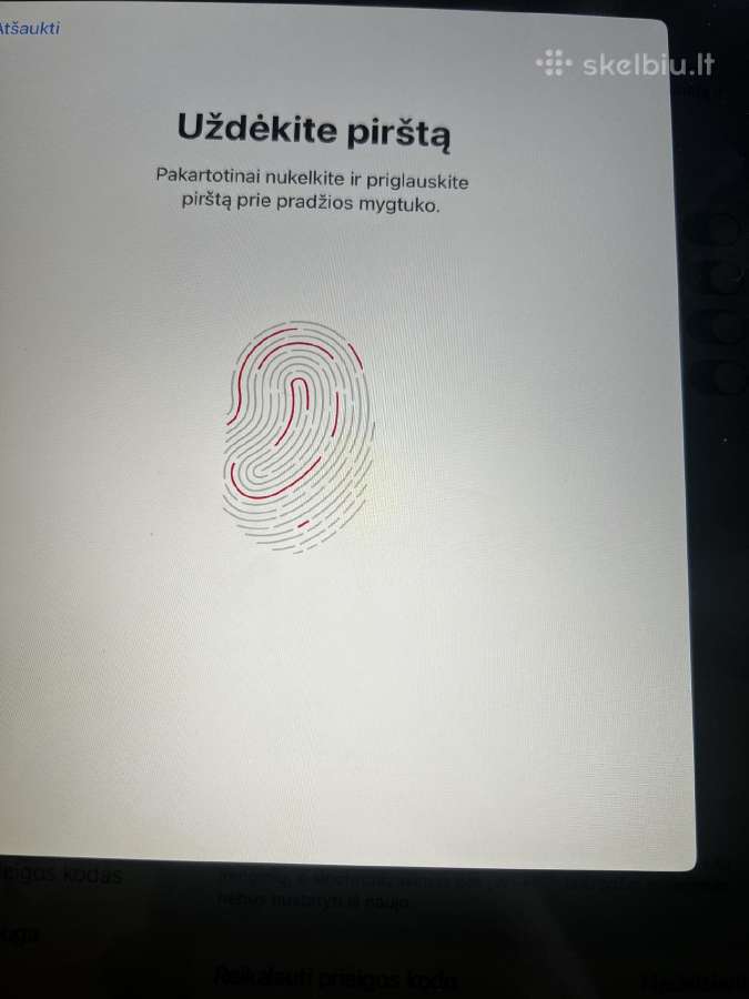 iPad 7th gen wi-fi su Cellular - nuotraukos Nr. 2