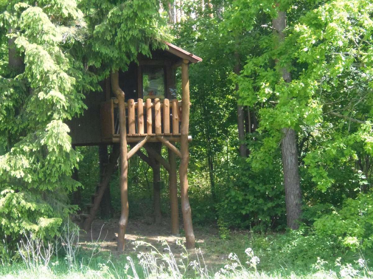 Sodybos su pirtim nuoma Anyksciu raj, - nuotraukos Nr. 15