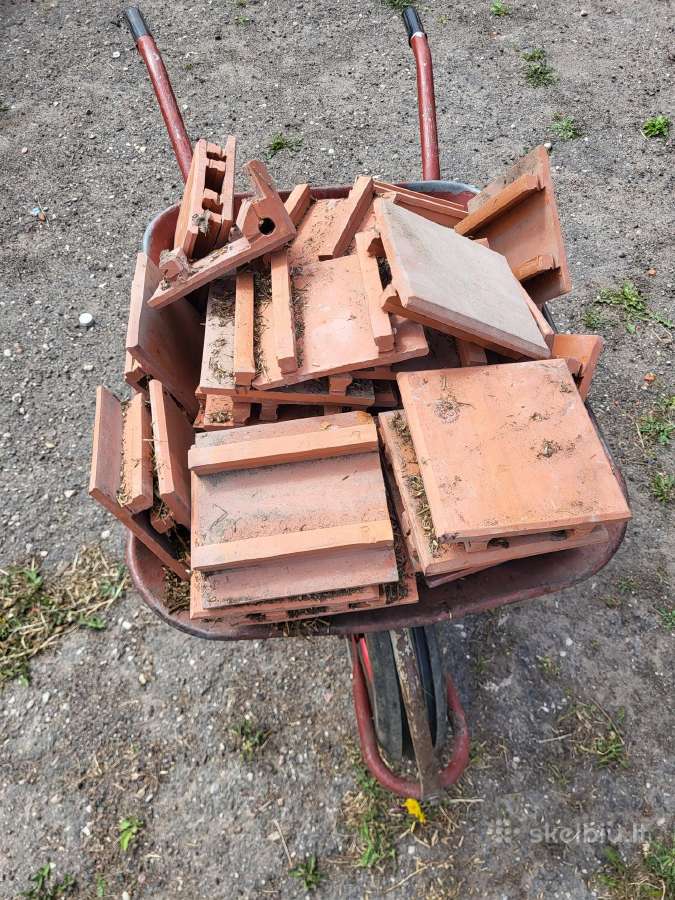 Kokliai