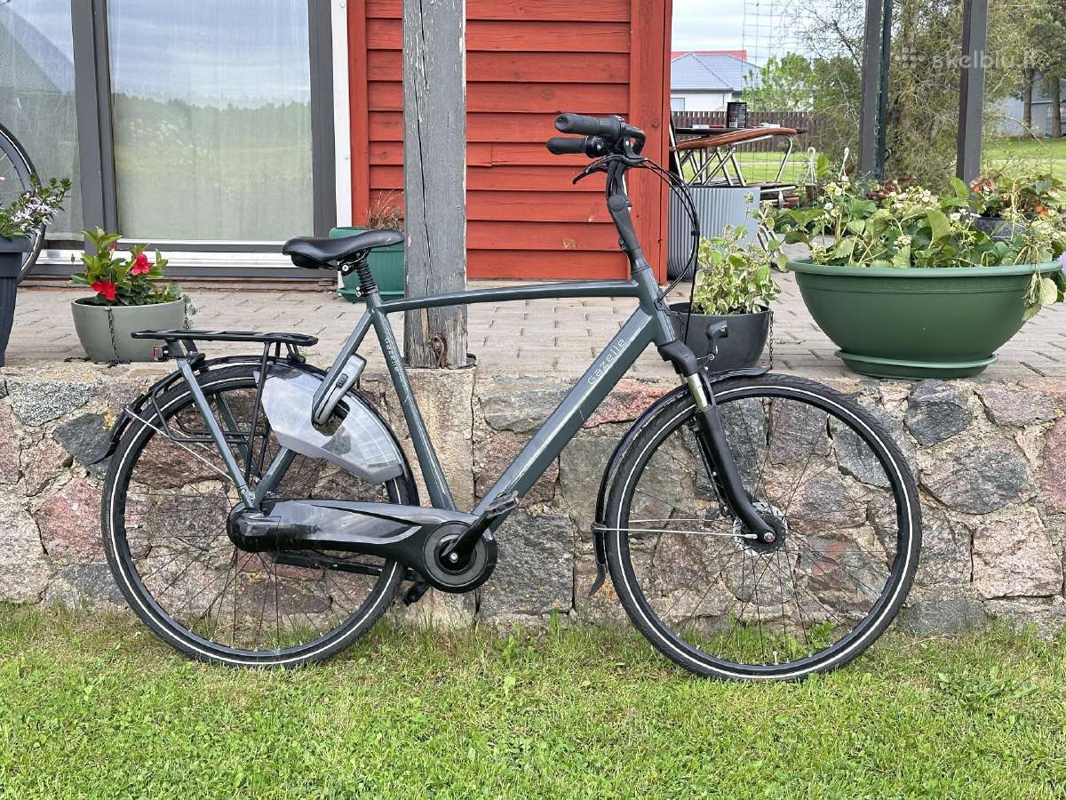 Gazelle orange C7+ - nuotraukos Nr. 5