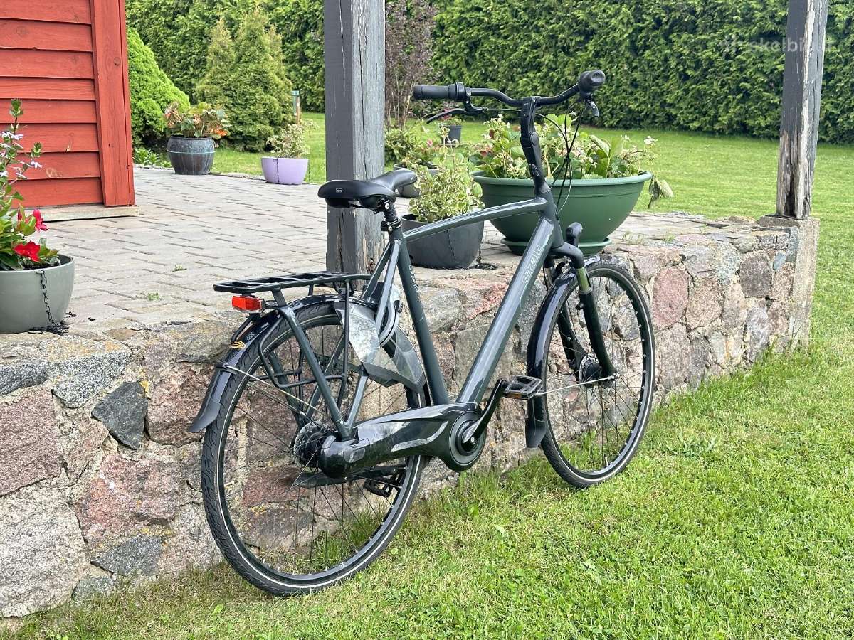 Gazelle orange C7+ - nuotraukos Nr. 6