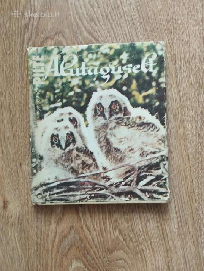 Pilte Alutaguselt