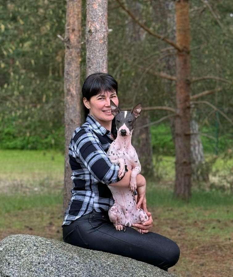 Amerikiečių Plikasis Terjeras
