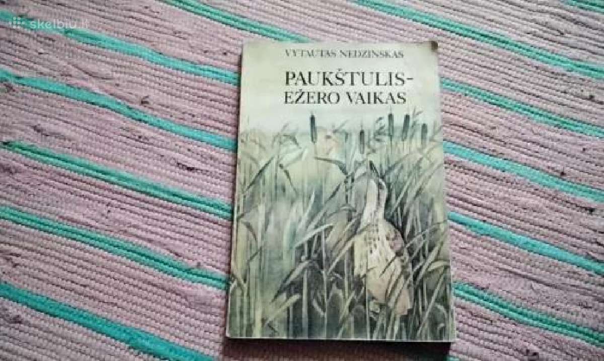 Paukštulis - ežero vaikas Vytautas Nedzinskas