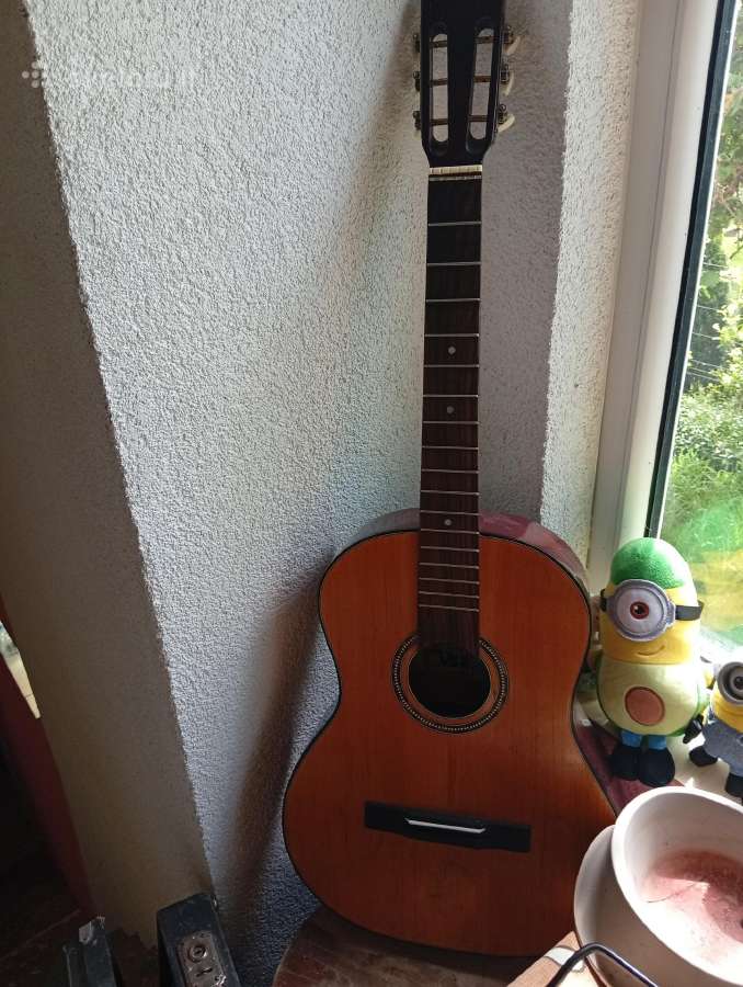 Vintažinė gitara musina