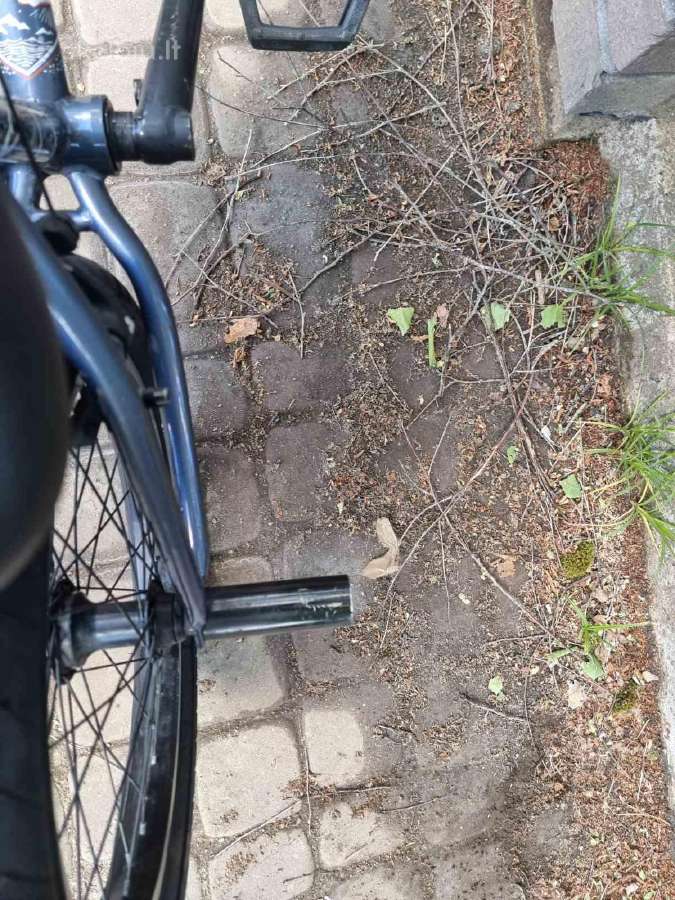 BMX Wtp Dviratis Crs 18 Juodas 2019 - nuotraukos Nr. 11