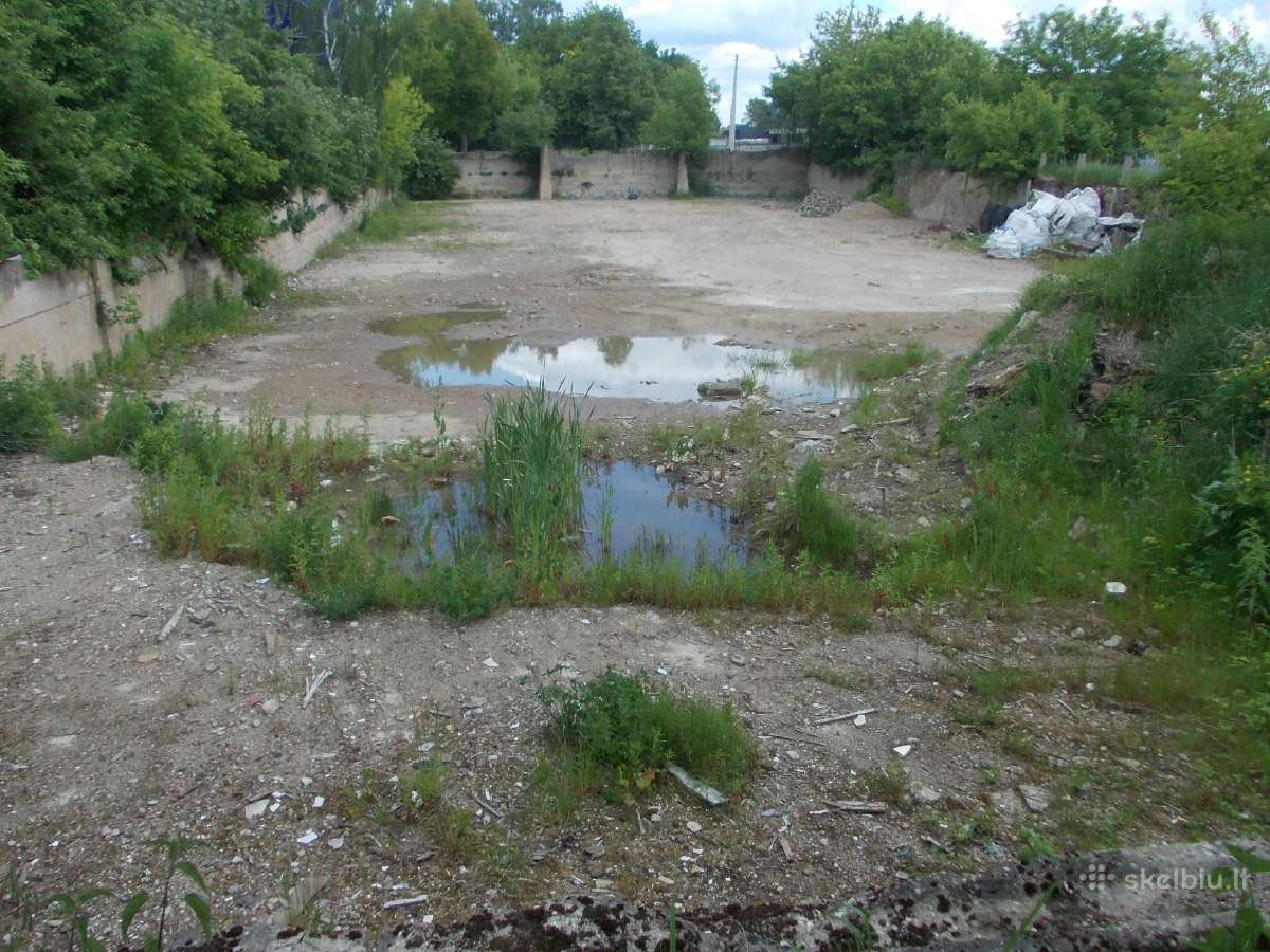 Aikštelės nuoma