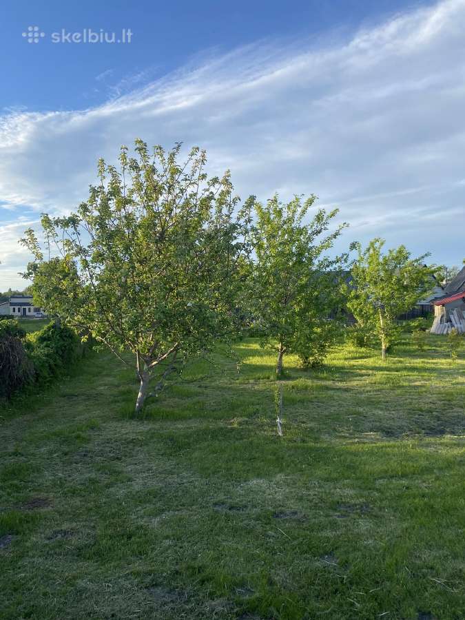 Nekilnojamas turtas , namas - nuotraukos Nr. 12